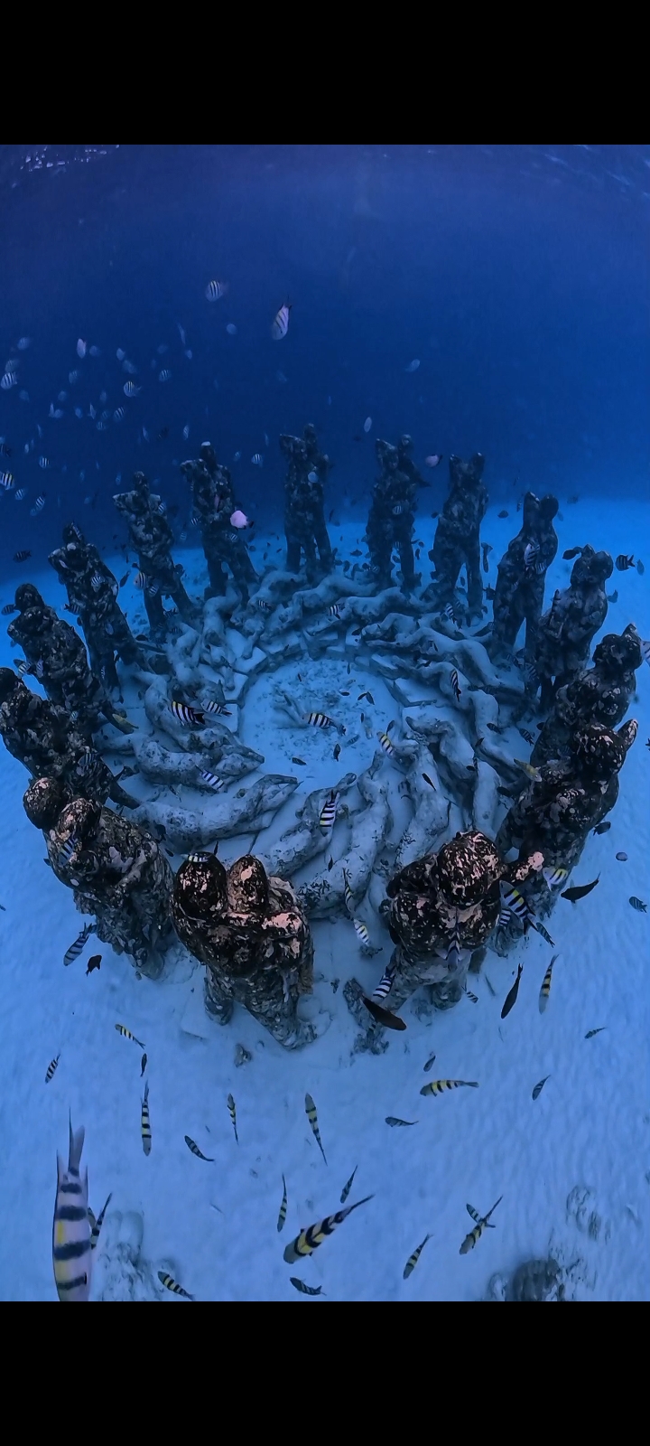 Unique coral sculpture formation with tropical fish